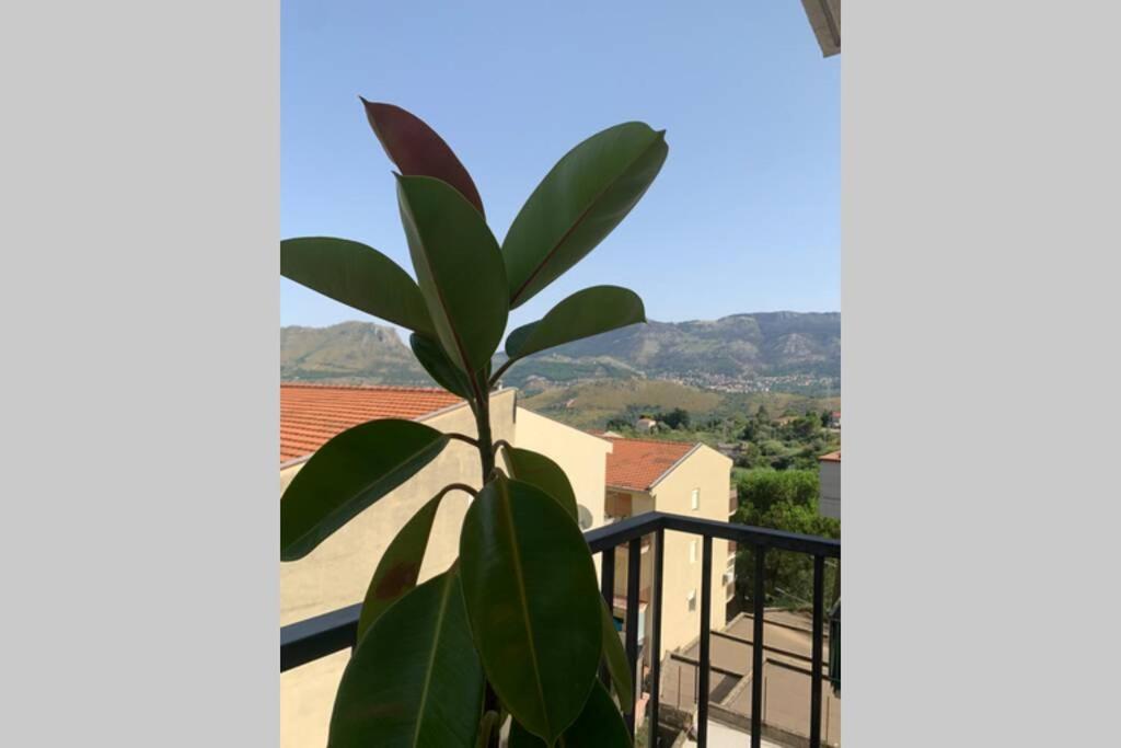 Casa Vacanza - I Mulini Con Parcheggio Gratuito Incluso. 몬레알레 외부 사진